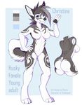  2016 4_toes 5_fingers anthro breasts canine digitigrade dog featureless_breasts female fur gradiewoof grey_fur grey_hair grey_nose hair husky mammal model_sheet navel nude simple_background smile solo standing toes white_fur wide_hips 