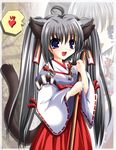  ahoge animal_ears black_hair blue_eyes broom cat_ears grey_hair japanese_clothes long_hair miko nekomimi twin_tails twintails 