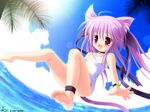  beach bell blush catgirl sky swimsuit tail tsubasa_tamago water 