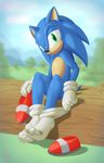  2016 absurd_res anthro black_nose blue_fur blue_hair clothing footwear fur gloves green_eyes hair hedgehog hi_res legwear looking_at_viewer male mammal mostly_nude outside rysonanthrodog shoes sitting socks solo sonic_(series) sonic_the_hedgehog wood 