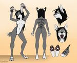  4_toes 5_fingers anthro black_hair black_nose breasts digitigrade eam0 featureless_breasts featureless_crotch female fur green_eyes grey_fur hair mammal model_sheet navel nude simple_background solo standing toes white_background white_fur wide_hips 
