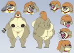  anthro big_breasts big_butt breasts butt canine dog female huge_breasts huge_butt mammal nipples nude overweight pussy solo thick_thighs vdisco wide_hips 