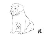  2b canine cub mammal paws simple_background sitting sketch white_background young 