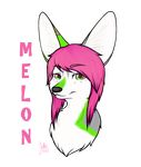  alpha_channel big_ears canine female fennec fox fur green_eyes green_fur hair hi_res jalle looking_at_viewer mammal melon_the_fennec_fox pink_eyes pink_fur pink_hair simple_background smile solo transparent_background two_coloured_eyes white_fur 