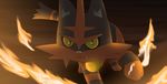  all0412_(artist) angry cat cute fangs feline fire looking_at_viewer male mammal nintendo pok&eacute;mon tiger torracat video_games yellow_eyes 