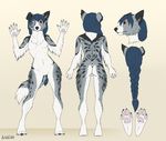  4_toes 5_fingers anthro bare_back black_nose blue_hair braided_hair breasts canine digitigrade dog eam0 featureless_breasts featureless_crotch female fur grey_fur hair heterochromia mammal model_sheet nude simple_background solo spots spotted_fur standing toes white_background white_fur wide_hips 