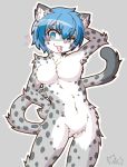  &lt;3 2018 acky05_(artist) anthro blue_hair blush breasts featureless_breasts featureless_crotch felid female fur grey_background grey_fur hair hand_on_hip hi_res mammal navel nude pantherine short_hair simple_background snow_leopard solo spots spotted_fur standing suzune_(acky05) tongue tongue_out white_fur 