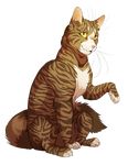  alpha_channel ambiguous_gender dannoitanart feline feral fur leafpool_(warriors) looking_at_viewer mammal simple_background sitting smile solo stripes transparent_background 