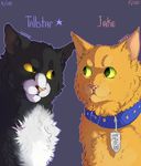  collar dannoitanart duo english_text feline feral fur male mammal simple_background smile tallstar_(warriors) text 