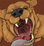  anthro bear beverage drinking finalroar fur glass human male male/male mammal one_eye_closed oral_vore swallowing teeth tongue tongue_out vore 