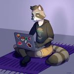  clothing computer hoodie jacket junga laptop lounging male mammal raccoon relaxing rug shorts sitting skinny slim stickers 