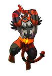  incineroar tagme 