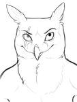  2013 anthro avian beak bird digital_drawing_(artwork) digital_media_(artwork) fur headshot_portrait looking_at_viewer male na-au owl portrait scar simple_background sketch smile solo theowlette white_background 