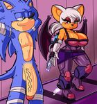  armpits bat big_breasts breasts dreamcastzx1 female hedgehog hithog huge_breasts huge_penis male mammal penis rouge_the_bat sonic_(series) sonic_the_hedgehog tight_outfit wide_hips 