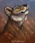  2016 black_lips black_nose feline female feral flashw fur lion mammal nude orange_fur smile solo 
