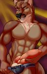  abs athletic balls biceps canine chudlight clothing coyote digital_media_(artwork) erection fcsimba front_view fur knot looking_at_viewer male mammal muscular pecs penis pinup pose smile solo underwear wuff 