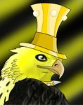  2016 animal_jam avian better_version_at_source bird clothed clothing eagle hat headwear neckwear simple_background unknown_artist 