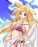  animal_ears artist_request beach bikini blonde_hair cat_ears cat_tail copyright_request day long_hair outdoors pink_eyes solo striped striped_bikini swimsuit tail towel 