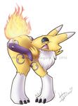  2016 alpha_channel anthro bent_over blue_eyes burning butt_on_fire canine digimon dinogoat female fire fur mammal nude ouch pain renamon signature simple_background solo transparent_background watermark yellow_fur 