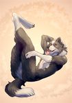  2016 anthro armpits border_collie breasts canine collie dog female looking_at_viewer mammal multi_breast multi_nipple nipples pussy solo tongue tongue_out twistedteeth 