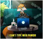  2012 angry anthro beverage black_nose blue_eyes border brown_fur canine claws clothed clothing coffee computer cup detailed_background digital_media_(artwork) english_text fluffy fluffy_tail fox front_view fur humor lapres laptop male mammal multicolored_fur orange_fur orange_tail paddy_(paddypaws58) plant shirt sitting snarling sofa solo sunlight table teeth text the_truth two_tone_tail watermark white_border white_fur white_tail window 