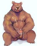  anthro balls bear cum erection iceman1984 male mammal masturbation muscular penis solo 