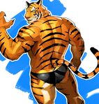  claws clothing feline invalid_tag male mammal muscular muscular_male red_nose sakuramaru123 stripe teeth tiger underwear yellow_eyes 