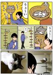  ^_^ afterimage animal artist_self-insert bags_under_eyes black_hair blue_hoodie cat cat_tower_(object) closed_eyes comic commentary corner frown hand_up hands_in_pockets indoors kounoike_tsuyoshi long_sleeves looking_at_another looking_at_viewer lying male_focus no_shoes on_side original photo sleeping socks staring sweat teasing translation_request walking walking_away 