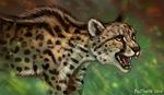  2016 amber_eyes ambiguous_gender black_spots cheetah day feline feral flashw fur grass mammal nude open_mouth outside solo sported_fur spots standing tan_fur teeth tongue 