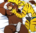  &lt;3 armpit_lick bear bearlovestiger13 bulge clothed clothing compression_artifacts erection erection_under_clothes feline male male/male mammal muscular muscular_male tiger 