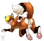  2016 4_toes all_fours anthro anus backsack balls bent_over big_tail blonde_hair blue_eyes brown_fur brown_markings brown_tail butt butt_heart canine claws digital_media_(artwork) dipstick_tail facial_markings fingerless_(marking) fluffy fluffy_tail fox foxeh fur hair jackiejackal looking_at_viewer looking_back male mammal markings multicolored_fur multicolored_tail nude orange_fur orange_tail pawpads paws perineum pink_anus pink_nose pink_pawpads presenting presenting_hindquarters raised_tail rear_view simple_background solo toe_claws toes watermark white_background white_balls white_fur white_tail 