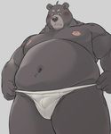  bear blush bulge clothed clothing colored grey_background male mammal oak orchish_(pixiv) simple_background solo speedo swimsuit underwear 