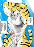  anthro balls bottomless clothed clothing colored erection feline himachi1335 japanese_text male mammal muscular penis simple_background solo text tiger translation_request5 
