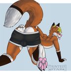  2016 4_toes all_fours anthro anus big_tail blonde_hair blue_background blue_eyes boxers_(clothing) brown_fur brown_tail bulge butt canine claws clothed clothing digital_media_(artwork) dipstick_tail facial_markings fangs fingerless_(marking) fluffy fluffy_tail fox foxeh fur hair hand_on_butt hi_res letterbox looking_at_viewer looking_back male mammal markings multicolored_fur multicolored_tail open_mouth orange_fur orange_tail pawpads paws pink_nose pink_pawpads pink_tongue presenting presenting_hindquarters signature simple_background solo taintedstar teeth toe_claws toes tongue tongue_out topless underwear white_fur white_tail 