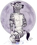  1999 abs anthro athletic black_fur black_mane black_stripes black_tail blue_eyes chris_sawyer colored_pencil_(artwork) equine front_view full_moon fur male mammal mane moon multicolored_fur nipples nude open_mouth partially_submerged pecs portrait pose signature simple_background solo striped_fur striped_tail stripes tail_tuft tasteful_nudity three-quarter_portrait traditional_media_(artwork) tuft two_tone_fur two_tone_mane two_tone_tail white_background white_fur white_mane white_tail zebra 