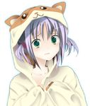  animal_costume costume hamster hayate_no_gotoku! ise nishizawa_ayumu solo 