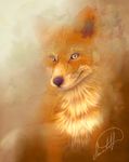  ambiguous_gender canine feral fox fur jadedjynx mammal orange_fur purple_nose signature solo tan_fur whiskers yellow_eyes 
