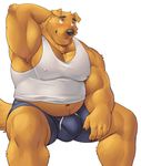  anthro armpit_hair armpits biceps big_biceps big_muscles black_nose blush brown_nose bulge canine clothing dog front_view hand_on_head male mammal manly muscular muscular_male nipples pants pecs shirt simple_background sitting solo sweat sweatdrop the_farewelled white_background 
