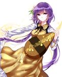  bad_id bad_pixiv_id biwa_lute black_neckwear black_ribbon breasts brown_dress closed_mouth dress flower hair_flower hair_ornament highres instrument long_hair long_sleeves looking_at_viewer low_twintails lute_(instrument) medium_breasts music neck_ribbon purple_eyes purple_hair ribbon sheya smile solo touhou tsukumo_benben twintails 