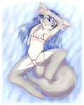  anthro armpits biped blue_eyes blue_hair blush breasts canine clothed clothing female hair hazukikai hi_res lying mammal nipples on_back one_eye_closed pussy skimpy solo spread_legs spreading swimsuit 