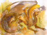  ambiguous_gender claws dragon feral isvoc membranous_wings nude scales solo teeth traditional_media_(artwork) watercolor_(artwork) wings yellow_scales 