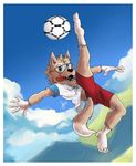  anthro ball blue_eyes canine eyewear fifa goggles male mammal mascot russia russian soccer sport zabivaka 