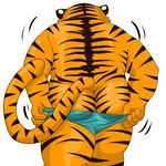  anthro butt clothed clothing feline male mammal mooning presenting presenting_hindquarters raichoclub rear_view simple_background solo tiger underwear undressing white_background 