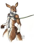  anatomically_correct animal_genitalia balls collar ears_back harness kangaroo leash male mammal marsupial neverwolf sheath solo standing submissive unseen_character 