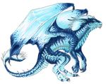  ambiguous_gender blue_hair blue_scales claws dragon feral gradient_hair hair isvoc membranous_wings nude scales simple_background solo standing traditional_media_(artwork) white_background white_hair wings 