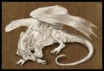  ambiguous_gender claws dragon feral fur furred_dragon isvoc lying membranous_wings nude red_eyes solo traditional_media_(artwork) white_fur wings 