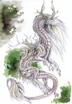  antlers claws dragon female feral hair horn isvoc nude scales solo traditional_media_(artwork) watercolor_(artwork) white_hair white_scales 