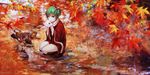  autumn boots dress green_eyes green_hair jq kagiyama_hina scarf short_hair touhou water 