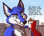 2016 anthro antlers black_fur blue_fur brown_fur canine cervine city deer detailed_background duo english_text fox foxalbiazul fur green_eyes horn male mammal outside red_fur scarf smile text tirrel white_fur 