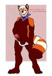  anthro balls barefoot blowup_background briefs clothed clothing dialogue english_text flat_colors fluffy fluffy_tail front_view holding_penis male mammal naughty_face navel neckerchief open_mouth pecs penis pinup poking_out pose red_panda retracted_foreskin simple_background solo standing talking_to_viewer text tonio_(artist) topless uncut underwear underwear_down underwear_pull vein veiny_penis 